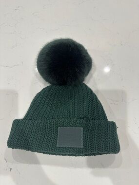 Love Your Melon Dark Green Knit Beanie with Pom